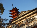 Miyajima #001