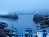 Misty fishing port