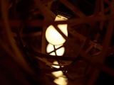 Bamboo Lighting